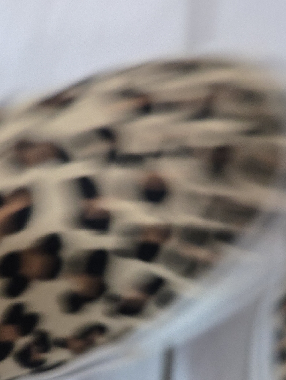 Vans Leopard Slip-On Sneakers - Tan/Black - Picture 6 of 6